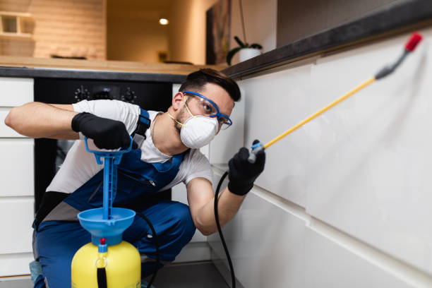 Best Best Pest Control Companies  in Morenci, MI