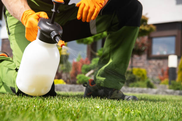Best Affordable Pest Control Services  in Morenci, MI
