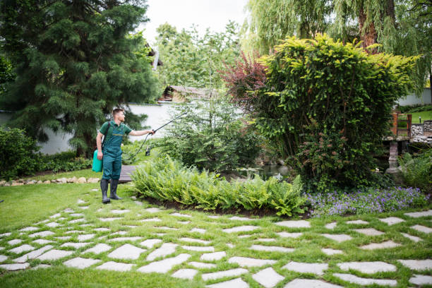 Best Wildlife Control Services  in Morenci, MI