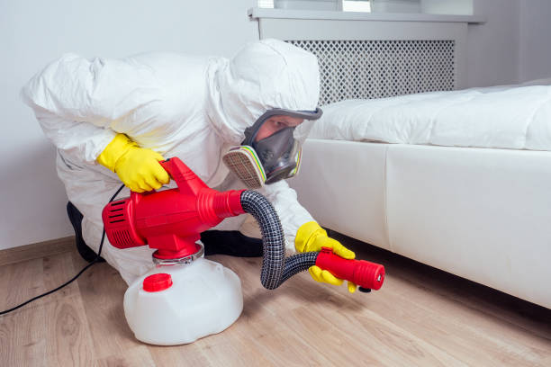 Best Wasp Removal Services  in Morenci, MI
