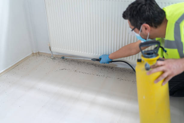 Best Pest Prevention Services  in Morenci, MI